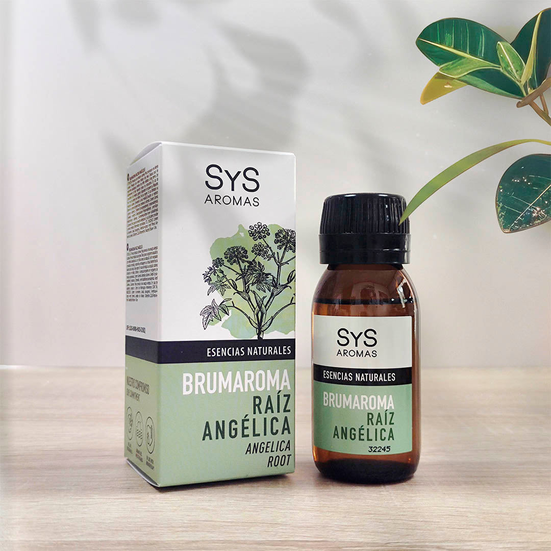 Brumaroma. Raíz angélica